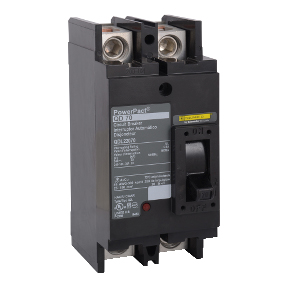 Schneider Electric Molded Case Circuit Breaker; 2-Pole; 250A; 240VAC; 25kA @ 240VAC; Lugs - Both Ends; UL 489